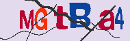 Kod CAPTCHA